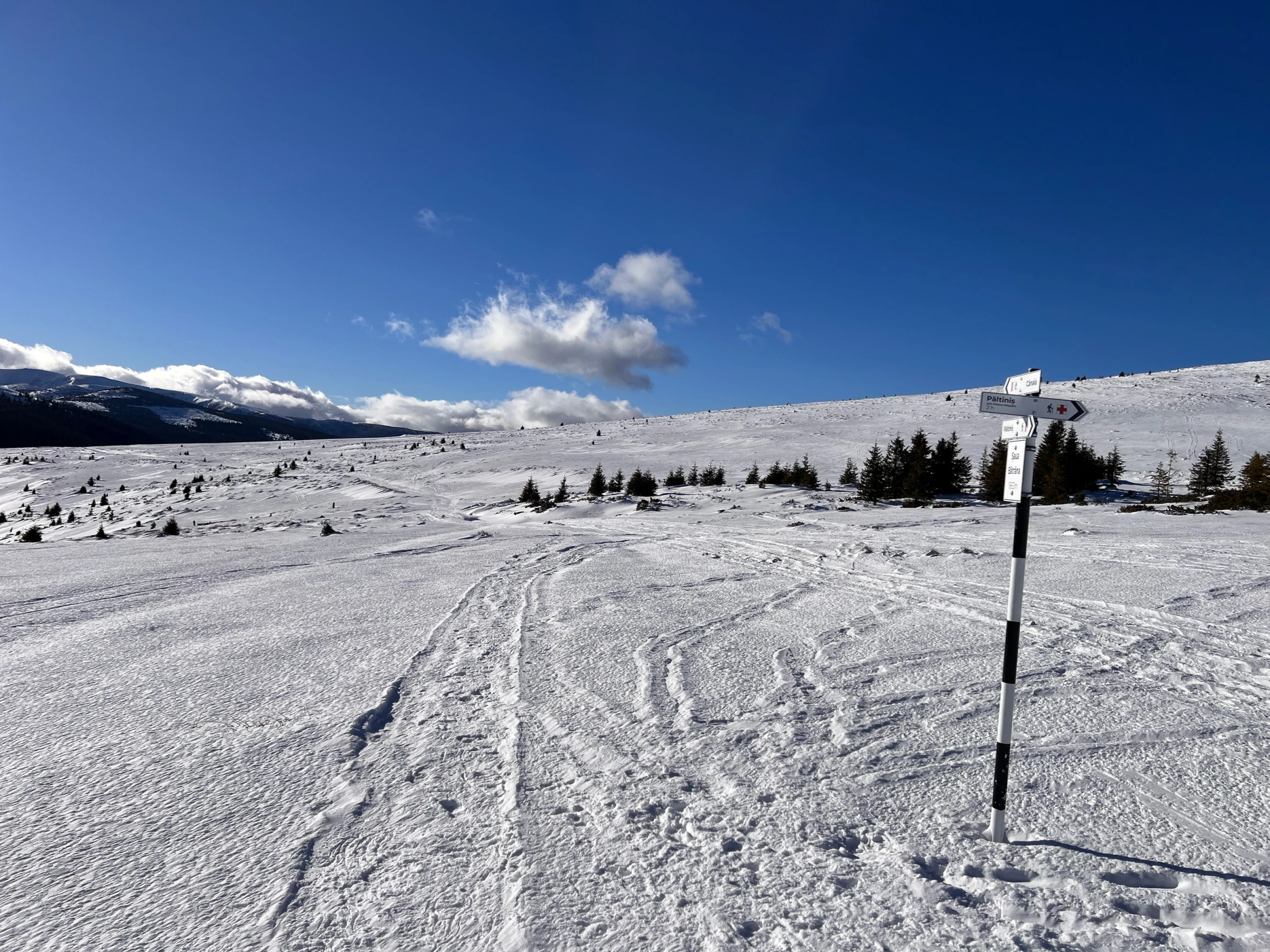 🏔️ Vârful Cindrel in winter – Waist-deep snow and a trail that tests your patience – photo 2