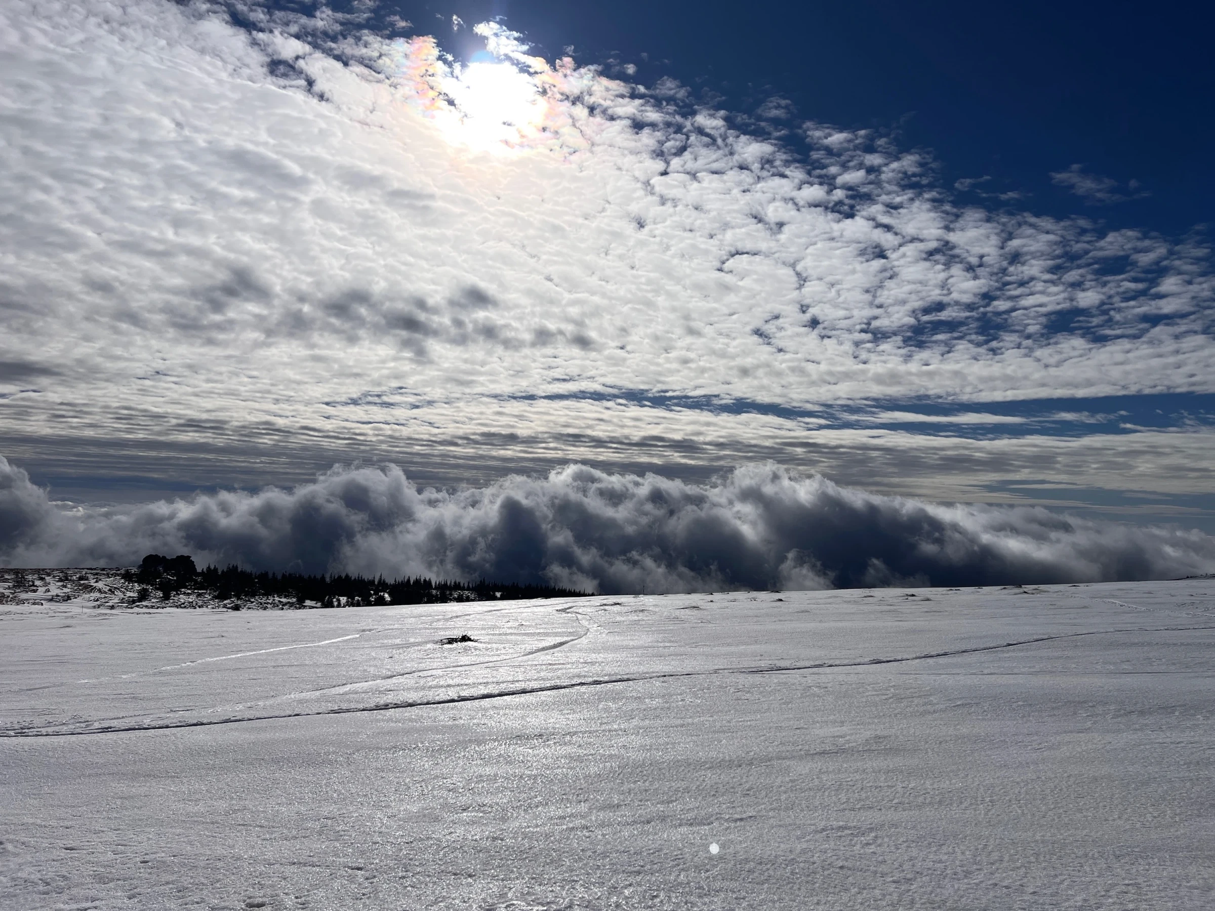 🏔️ Muntele Mare in winter – When snow is rarer than phone signal on the plateau – photo 4