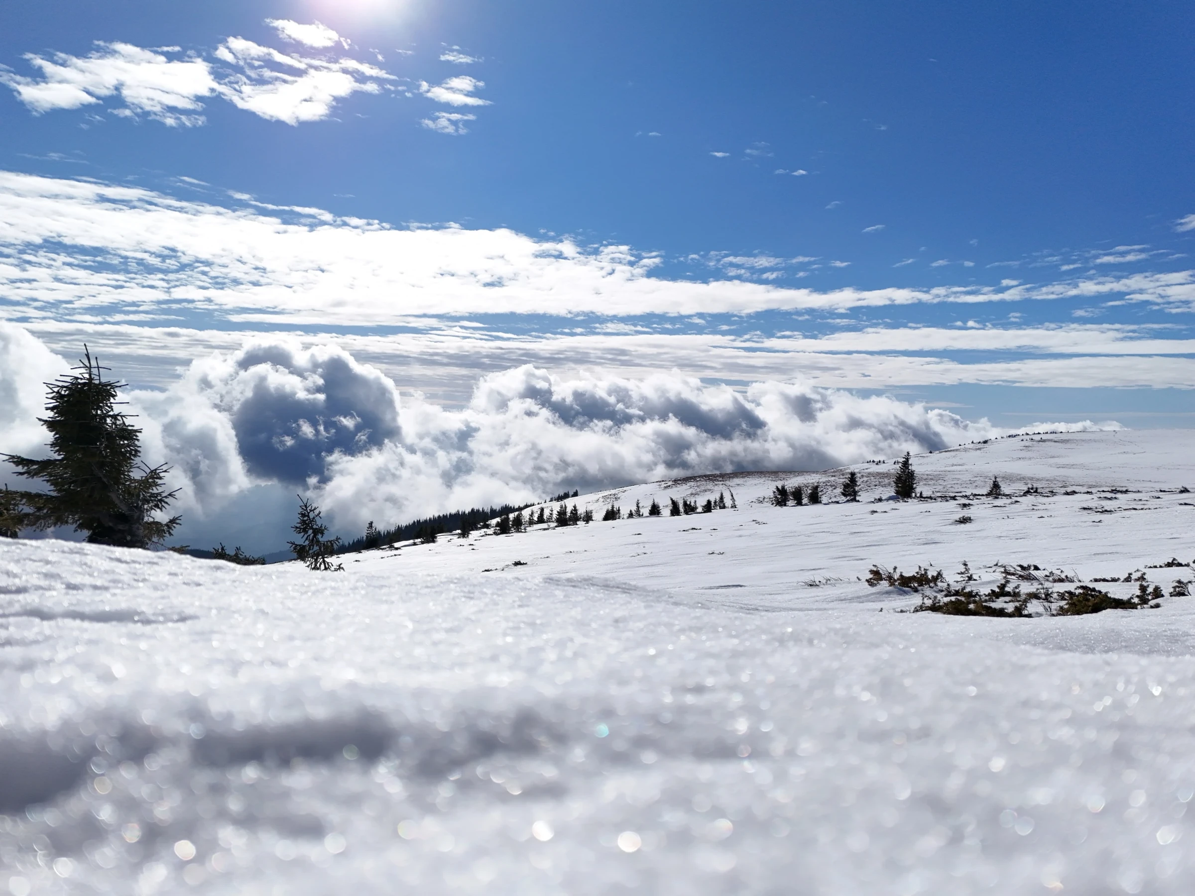 🏔️ Muntele Mare in winter – When snow is rarer than phone signal on the plateau – photo 1